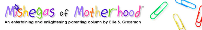 Mishegas of Motherhood: An Enlightening and Entertaining Parenting Column by Ellie S. Grossman