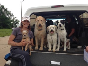 Debbie and dogs at hoarder shoot