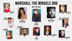 marshall collage
