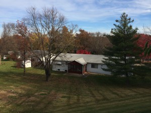 backyard hill